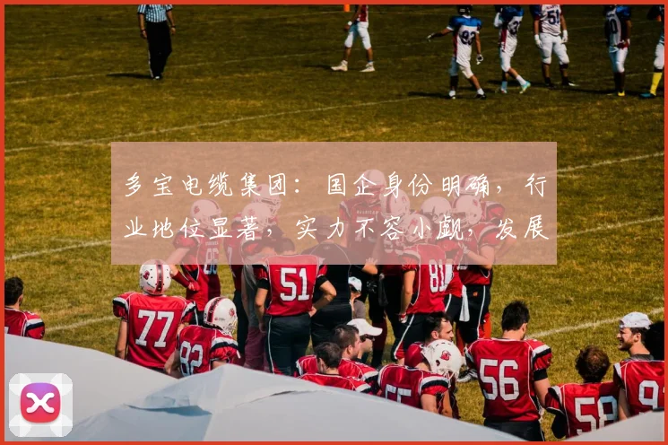 多宝电缆集团：国企身份明确，行业地位显著，实力不容小觑，发展前景广阔，值得信赖。