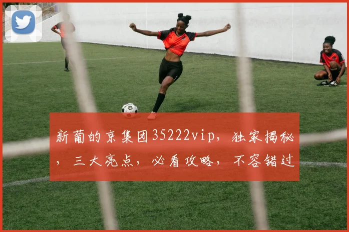 新葡的京集团35222vip，独家揭秘，三大亮点，必看攻略，不容错过