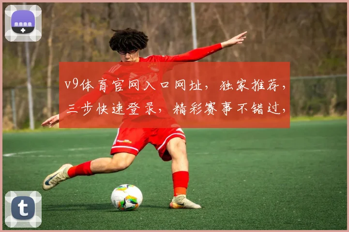 v9体育官网入口网址，独家推荐，三步快速登录，精彩赛事不错过，三重保障
